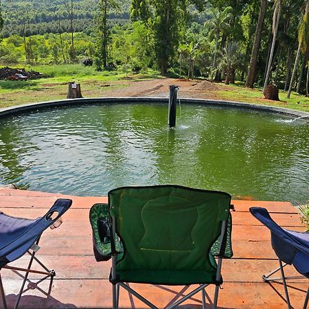 Pecan Farm Guesthouse Louis Trichardt Extérieur photo