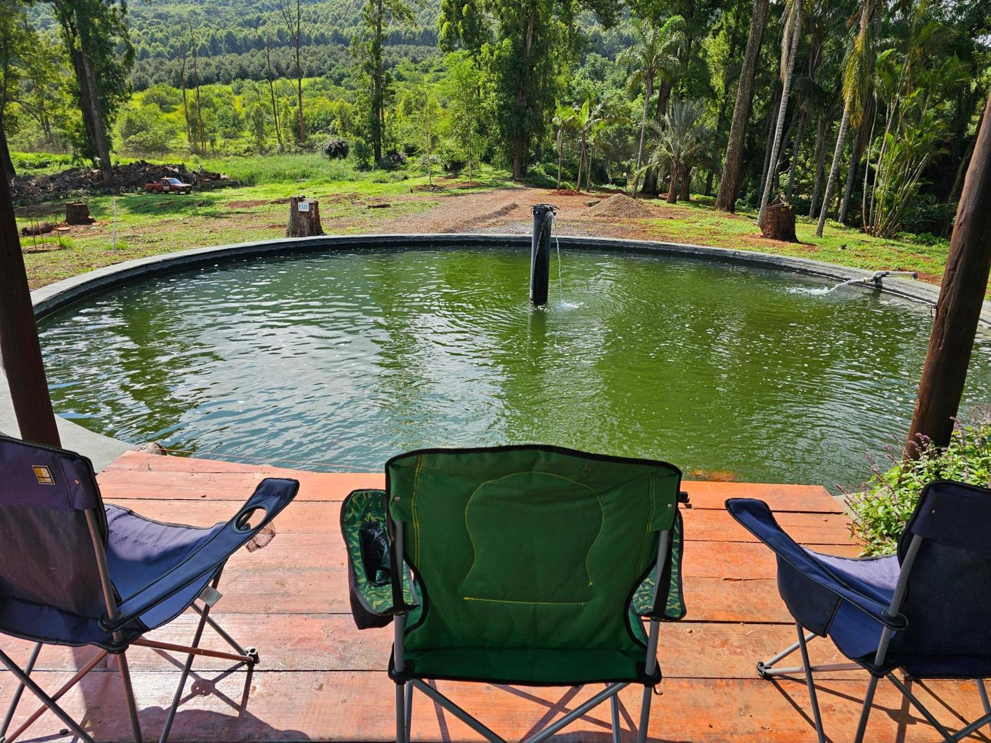 Pecan Farm Guesthouse Louis Trichardt Extérieur photo