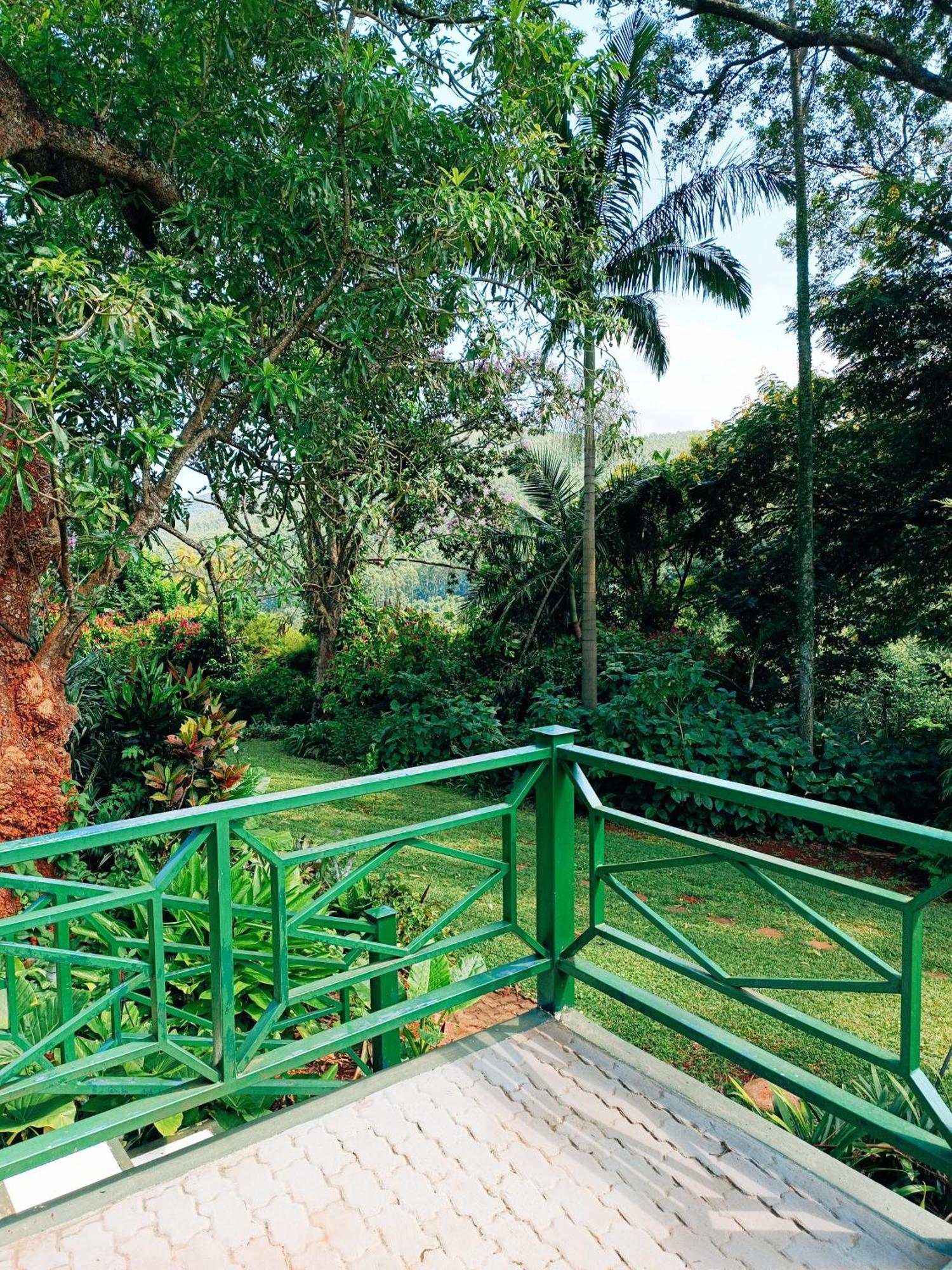 Pecan Farm Guesthouse Louis Trichardt Extérieur photo